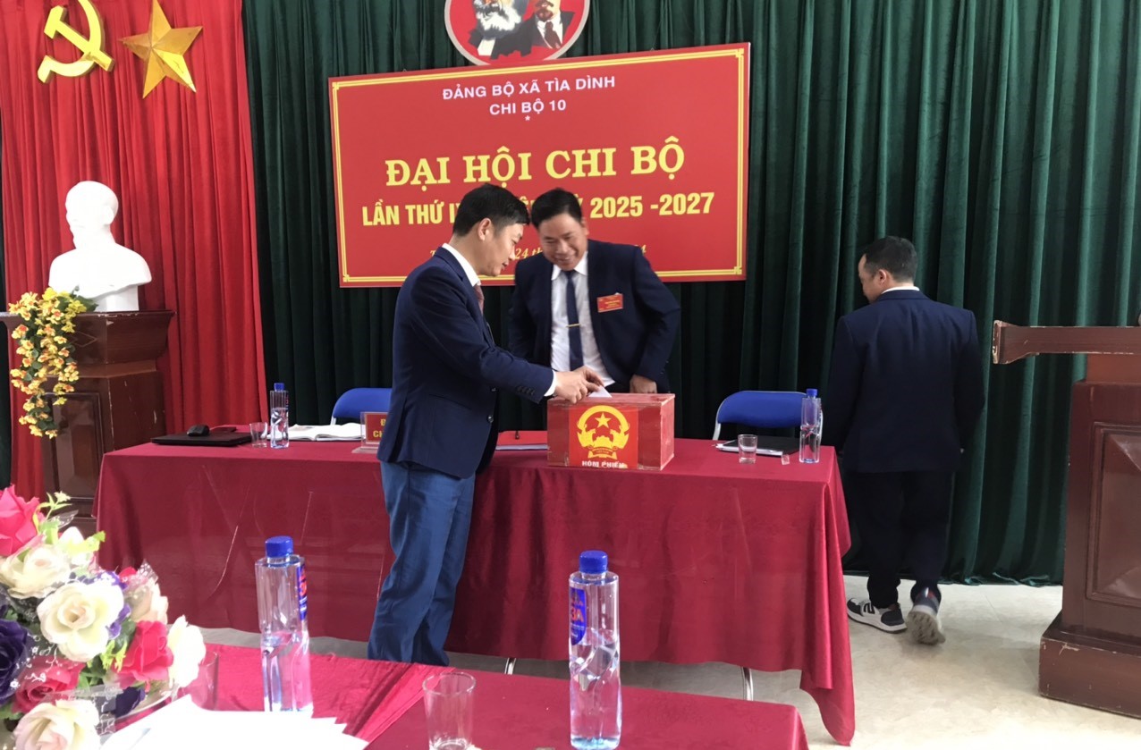 Ảnh 10